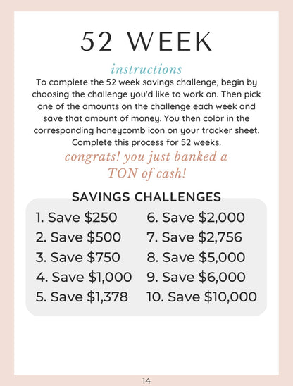 The Digital Saving Book Challenges