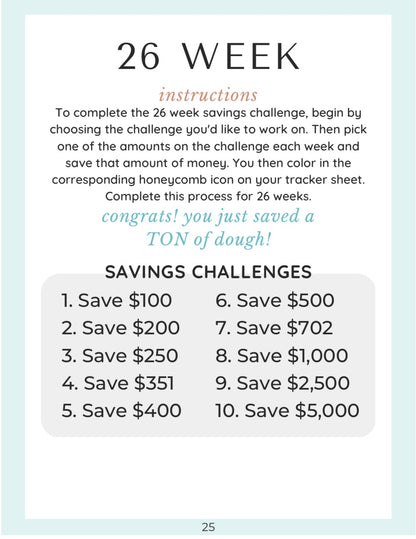 The Digital Saving Book Challenges